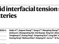 黄云辉团队2025年度重点研究成果总结