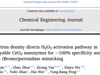 CEJ/大规模合成具有可控H2O2活化路径和相关酶促反应特异性的CeO2基纳米酶