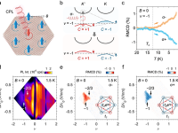 NTU高炜博团队Nature:实现摩尔陈铁磁体的光学操控