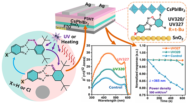 云南大学王茺&张文华&邱锋在钙钛矿光电探测性能提升方面的研究取得新进展(图1)