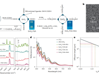 青岛能源所领衔Nature Energy：新型氧化锡纳米材料原位构建2D/3D钙钛矿异质结用于高效光伏器件