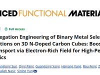 西安建大云斯宁教授Advanced Functional Materials:相分离工程构筑三维氮掺杂碳立方体负载二元金属硒化物异质结:富电子场促进载流子传输以实现高性能光伏应用