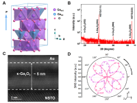 北邮吴真平/南开张杨/香港理工郝建华Science Advances | 宽禁带半导体氧化镓的室温铁电性