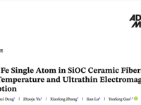 景德镇陶瓷大学AM:氮掺杂锚定策略构建Fe单原子改性SiOC陶瓷纤维实现高温电磁波吸收