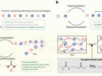 Nature Materials:通过单一单体的区域不规则聚合策略实现多种聚合物的化学可循环利用