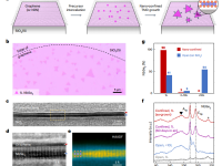院士领衔重磅Nature Materials.：成功使二维过渡金属硫族化物原子级精确合成和异质结构集成同步实现