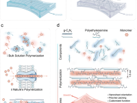 限域聚合：制膜新方法登上Nature Synthesis