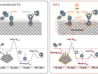 上海交通大学Nature Synthesis:光诱导氮溢流促进AlFe双位点催化剂高效合成氨