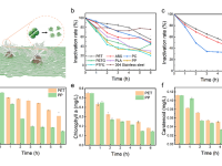 Nano Enery:接触电致催化为水体藻华控制提供低能耗、规模化新思路