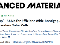 南京工业大学王芳芳&李仁志AM: “直立”SAM分子实现高效宽带隙和全钙钛矿叠层太阳能电池