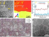 悉尼大学廖晓舟教授课题组Materials Today | 增材制造合金中位错胞结构的变形行为