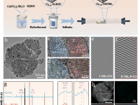 重科大/哈工大Chemical Engineering Journal |电荷相互作用和局部结构诱导NiS/NiS2异质结中丰富的硫空位和晶格应变实现高效的整体水分解