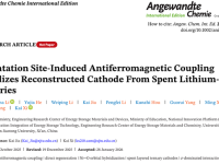 西安交大郗凯团队提出反铁磁耦合助力锂离子电池修复再生