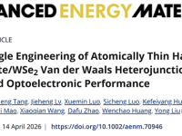 武汉理工大学刘勇教授团队AEM：扭转角工程赋能原子层级钙钛矿/WSe2异质结高性能光电响应