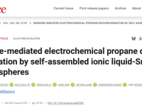 6000 小时稳定催化，这项 PDH 技术登 Science！