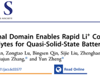 福州大学郑云/张久俊JACS：“催化功能域”——从催化反应的新视角理解Li+传导