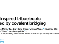 广西大学最新Matter：超弹性摩擦电气凝胶用于驾驶疲劳预测