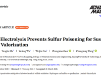 北工大吴玉锋、王长龙AM-脉冲电解驱动动态微环境调控实现含硫危废高效资源化