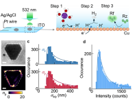 JACS！新加坡国立大学毛献文团队：亚颗粒尺度原位成像揭示电催化中间体与阳离子效应