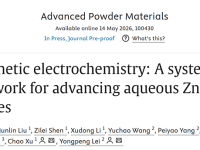 华北电力大学吕玮/徐超&中南大学雷永鹏Advanced Powder Materials：仿生电化学构建水系锌离子电池系统革新