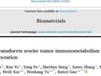 燕山大学高大威教授Biomaterials：压电催化纳米换能器通过原位产生过氧亚硝酸盐重塑肿瘤免疫代谢