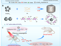 广西师范大学蒋邦平、沈星灿、梁宏团队Advanced Functional Materials：Advanced Functional Materials：缺陷工程重塑碳酸钙光学属性：近红外响应黑色碳酸钙水凝胶协同生物激活双反应加速糖尿病伤口愈合