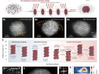 天津大学最新Science：用于燃料电池的精准调控铂壳金属间催化剂瞬态组装