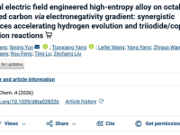 西安建大云斯宁教授Journal of Materials Chemistry A： 巧借电负性梯度构筑内建电场的高熵合金锚定八面体氮掺杂碳：协同界面加速析氢及三碘化物/铜还原反应