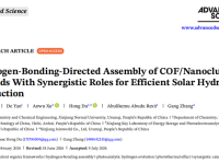 新疆师范大学杜虹教授 Advanced Science丨氢键“搭桥”构筑分子级界面：Ni、Zn、Co协同分工实现高效太阳能制氢