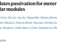 南京大学，最新Nature：羧酸铅钝化用于平米级钙钛矿光伏组件