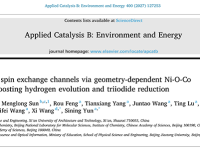 西安建大云斯宁教授/北京交大王熙教授Applied Catalysis B: Environment and Energy：几何构型Ni-O-Co桥构筑自旋交换通道实现高效析氢与碘还原