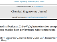 莆田学院易明杰教授/哈尔滨工业大学张嘉恒教授CEJ: ZnSe/V2O5异质结界面电荷重分布构筑高性能宽温区锌空气电池