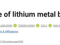 马里兰大学帕克分校王春生教授最新Science:锂金属电池寿命新解