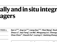 华中科大，最新Nature!