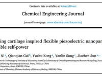 齐鲁工业大学孙加振/中科院化学所宋延林团队CEJ：直写印刷仿生软骨柔性压电纳米粒子组装体用于可靠自供电