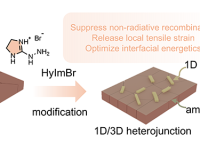 辽科大赵卓、王永飞&深职大林浩然 Advanced Energy Materials：紧凑型多功能阳离子调控1D/3D异质界面，实现高效稳定倒置钙钛矿太阳能电池